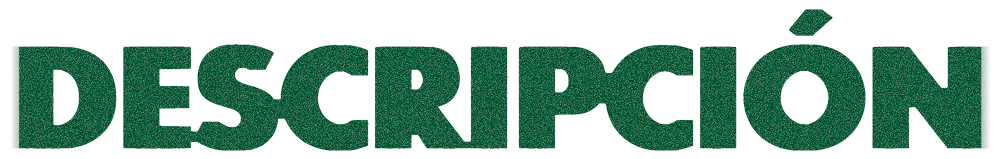 Descrpción