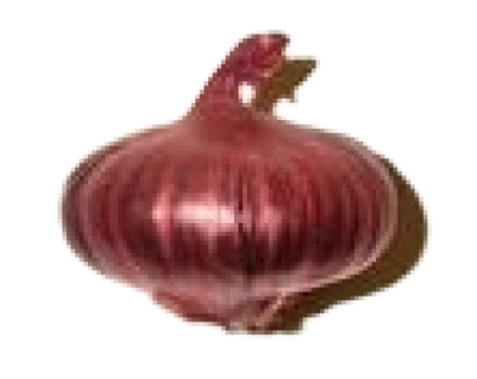 img_bottom_left_section_three