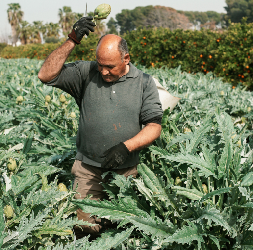 img_bottom_right_reserva