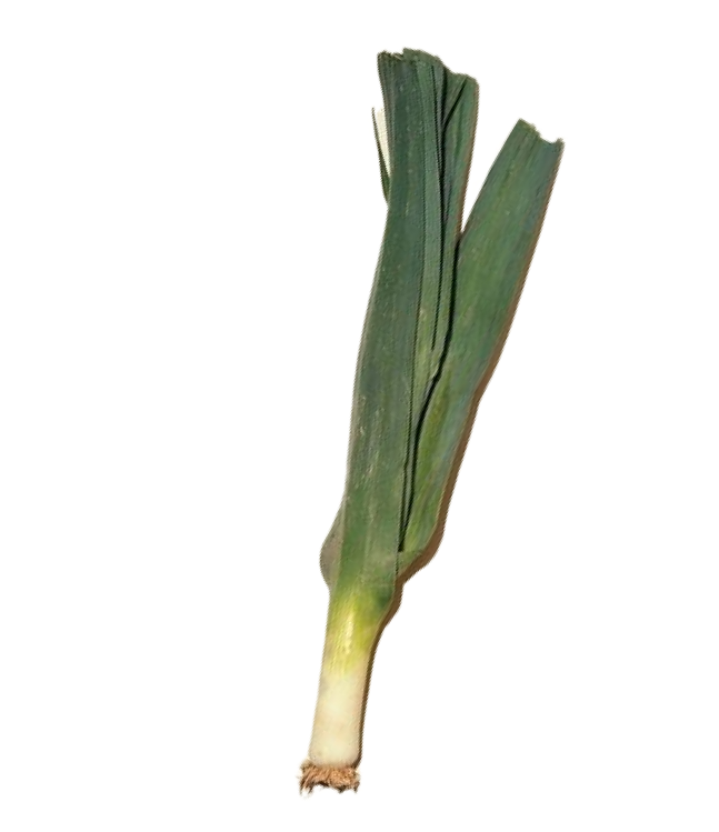 img_bottom_right_section_three